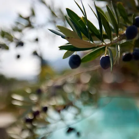 Angsana Corfu & 5* Benícesz